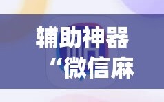 辅助神器“微信麻将如何提高胜率(透视)”详细辅助透视