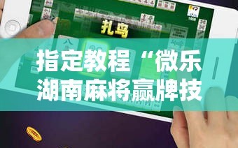 指定教程“微乐湖南麻将赢牌技巧”掌握辅助功能必胜规则