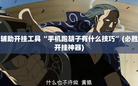 辅助开挂工具“手机跑胡子有什么技巧”(必胜开挂神器)