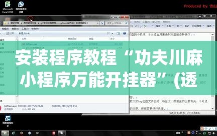安装程序教程“功夫川麻小程序万能开挂器”(透视挂)辅助透视教程