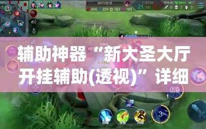辅助神器“新大圣大厅开挂辅助(透视)”详细辅助透视