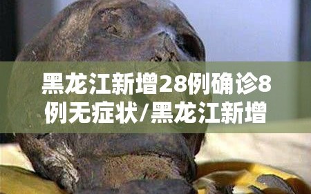 黑龙江新增28例确诊8例无症状/黑龙江新增28例确诊8例无症状是什么