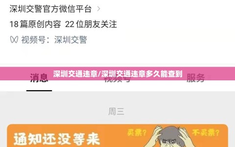 深圳交通违章/深圳交通违章多久能查到