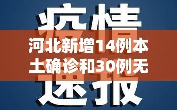 河北新增14例本土确诊和30例无症状（河北新增确诊33例 含本土13例）