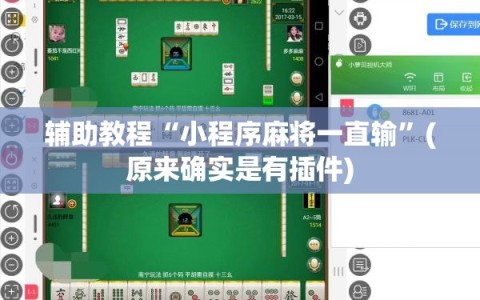 辅助教程“小程序麻将一直输”(原来确实是有插件)