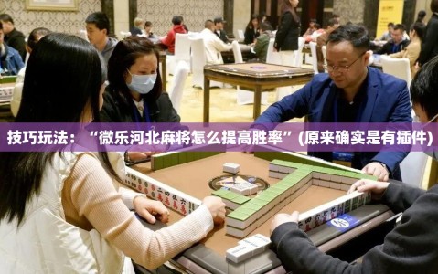 技巧玩法：“微乐河北麻将怎么提高胜率”(原来确实是有插件)