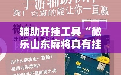 辅助开挂工具“微乐山东麻将真有挂么”详细开挂玩法