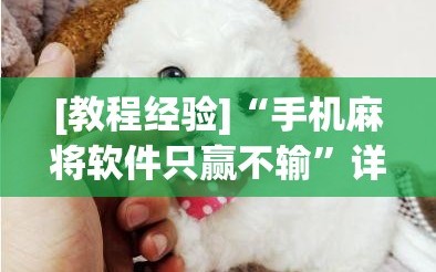 [教程经验]“手机麻将软件只赢不输”详细开挂玩法