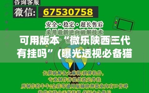 可用版本“微乐陕西三代有挂吗”(曝光透视必备猫腻)