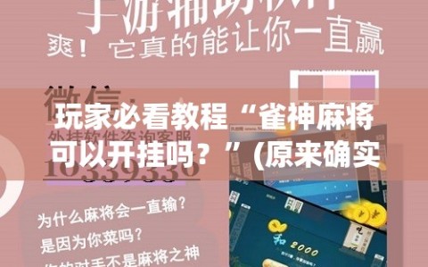 玩家必看教程“雀神麻将可以开挂吗？”(原来确实是有插件)