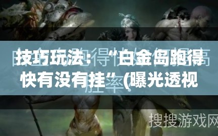 技巧玩法：“白金岛跑得快有没有挂”(曝光透视必备猫腻)