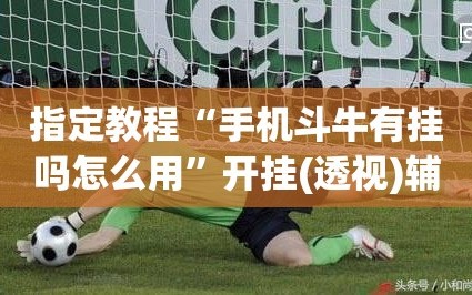指定教程“手机斗牛有挂吗怎么用”开挂(透视)辅助神器
