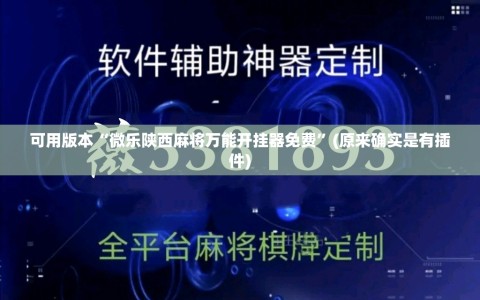 可用版本“微乐陕西麻将万能开挂器免费”(原来确实是有插件)