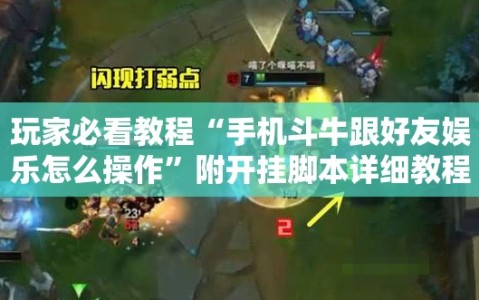 玩家必看教程“手机斗牛跟好友娱乐怎么操作”附开挂脚本详细教程
