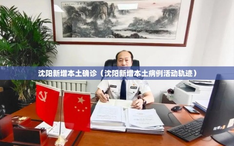 沈阳新增本土确诊（沈阳新增本土病例活动轨迹）