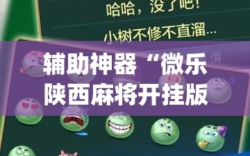 辅助神器“微乐陕西麻将开挂版本软件”(原来确实是有插件)