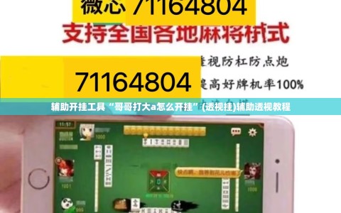辅助开挂工具“哥哥打大a怎么开挂”(透视挂)辅助透视教程