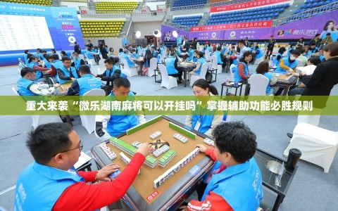 重大来袭“微乐湖南麻将可以开挂吗”掌握辅助功能必胜规则