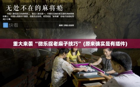 重大来袭“微乐捉老麻子技巧”(原来确实是有插件)