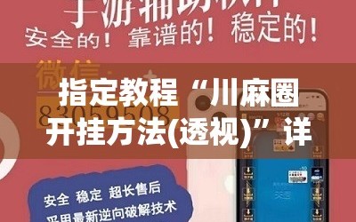指定教程“川麻圈开挂方法(透视)”详细辅助透视