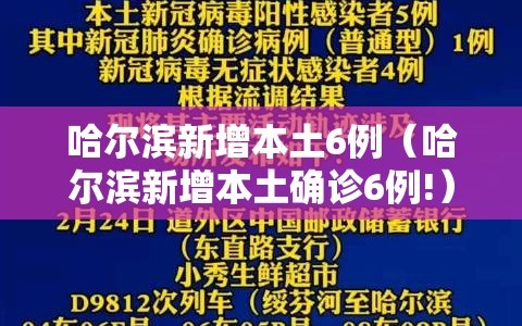 哈尔滨新增本土6例（哈尔滨新增本土确诊6例!）