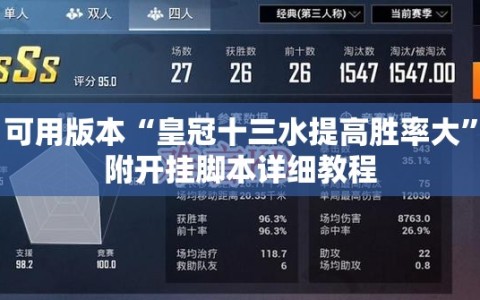 可用版本“皇冠十三水提高胜率大”附开挂脚本详细教程
