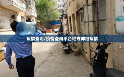 疫情查询/疫情查询平台地方详细疫情