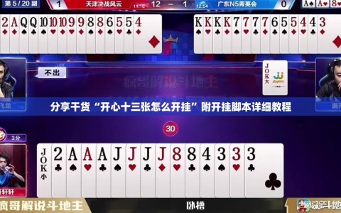 分享干货“开心十三张怎么开挂”附开挂脚本详细教程