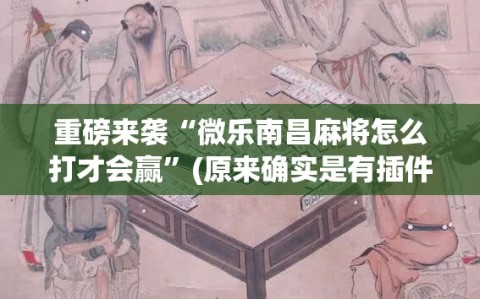 重磅来袭“微乐南昌麻将怎么打才会赢”(原来确实是有插件)