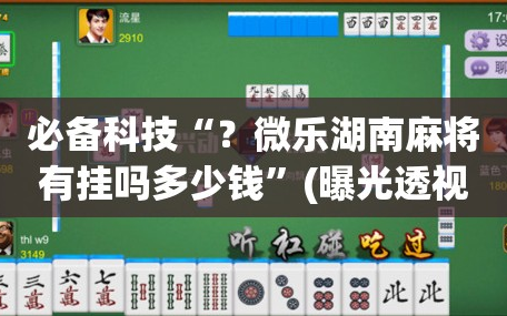 必备科技“？微乐湖南麻将有挂吗多少钱”(曝光透视必备猫腻)