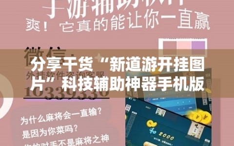 分享干货“新道游开挂图片”科技辅助神器手机版教程