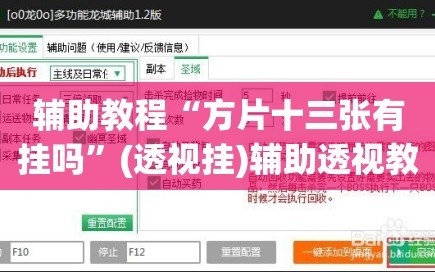 辅助教程“方片十三张有挂吗”(透视挂)辅助透视教程