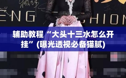 辅助教程“大头十三水怎么开挂”(曝光透视必备猫腻)