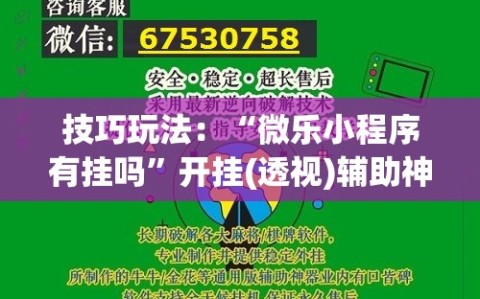 技巧玩法：“微乐小程序有挂吗”开挂(透视)辅助神器