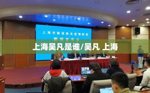上海吴凡是谁/吴凡 上海