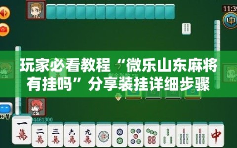 玩家必看教程“微乐山东麻将有挂吗”分享装挂详细步骤