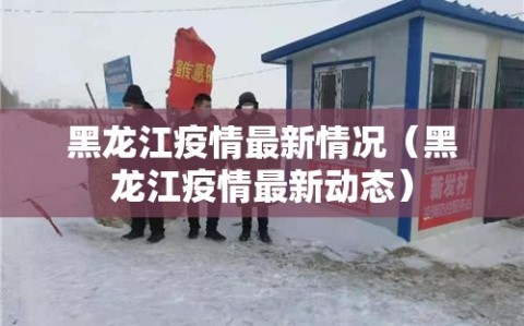 黑龙江疫情最新情况（黑龙江疫情最新动态）