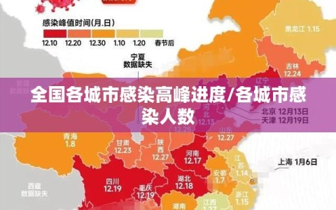 全国各城市感染高峰进度/各城市感染人数