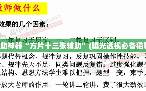 辅助神器“方片十三张辅助”(曝光透视必备猫腻)