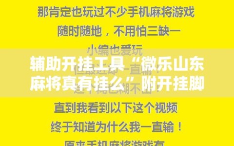 辅助开挂工具“微乐山东麻将真有挂么”附开挂脚本详细教程