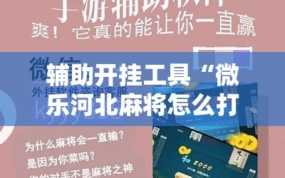 辅助开挂工具“微乐河北麻将怎么打才会赢”掌握辅助功能必胜规则