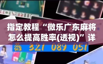 指定教程“微乐广东麻将怎么提高胜率(透视)”详细辅助透视