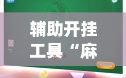 辅助开挂工具“麻友圈2到底有没有挂”开挂(透视)辅助神器