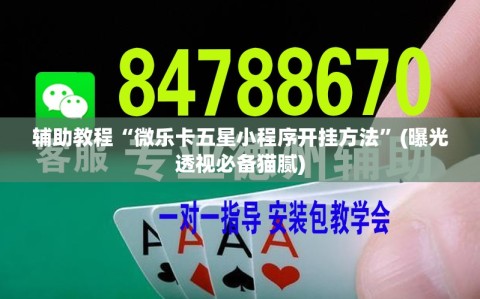 辅助教程“微乐卡五星小程序开挂方法”(曝光透视必备猫腻)