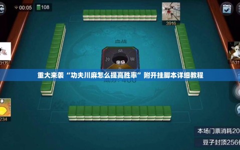 重大来袭“功夫川麻怎么提高胜率”附开挂脚本详细教程