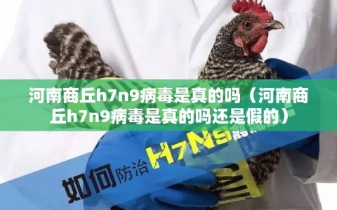 河南商丘h7n9病毒是真的吗（河南商丘h7n9病毒是真的吗还是假的）