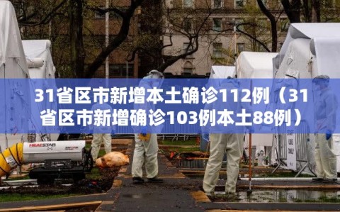 31省区市新增本土确诊112例（31省区市新增确诊103例本土88例）