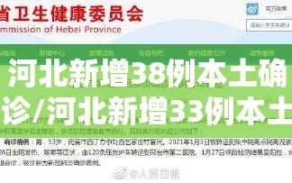 河北新增38例本土确诊/河北新增33例本土行动轨迹