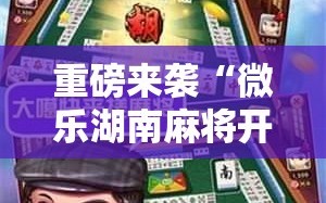 重磅来袭“微乐湖南麻将开挂下载最新版”通用版下载教程!