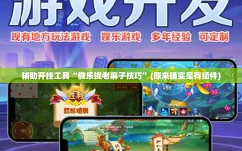 辅助开挂工具“微乐捉老麻子技巧”(原来确实是有插件)